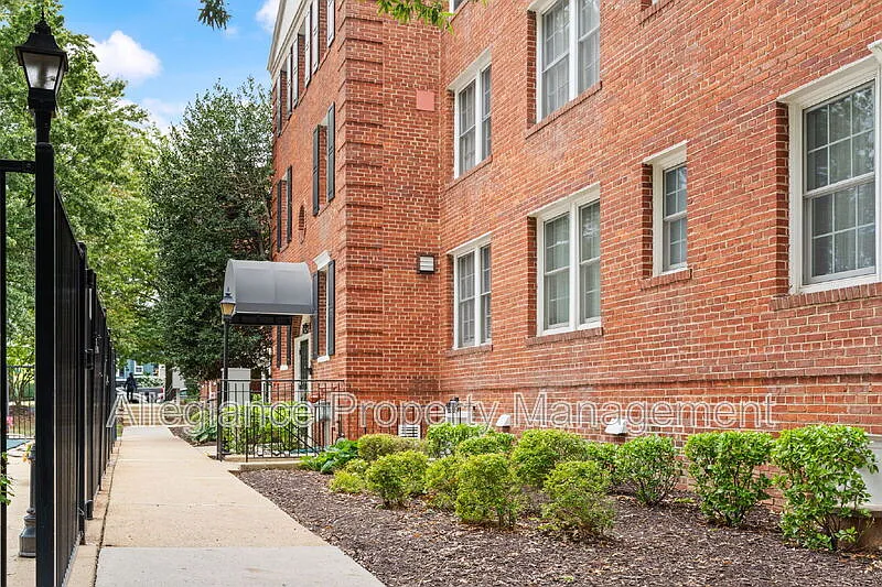 1 bed, 1.0 bath, 542 sqft, $2,000 — Photo 4
