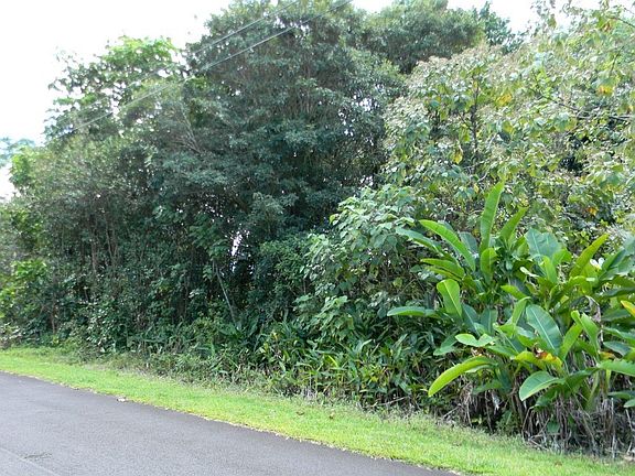 3rd image of Aholehole St Lot 6