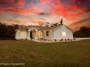 1115 Trinidad Ave, Spring Hill, FL 34609