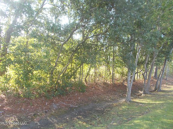 4th image of 1603 Lori Dr