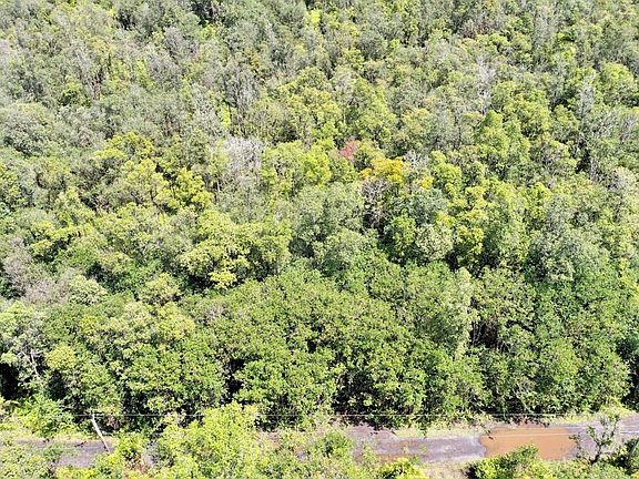 4th image of 16-1381 Road 5 Lot 4046
