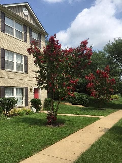 18004 Chatterly Ter, Germantown