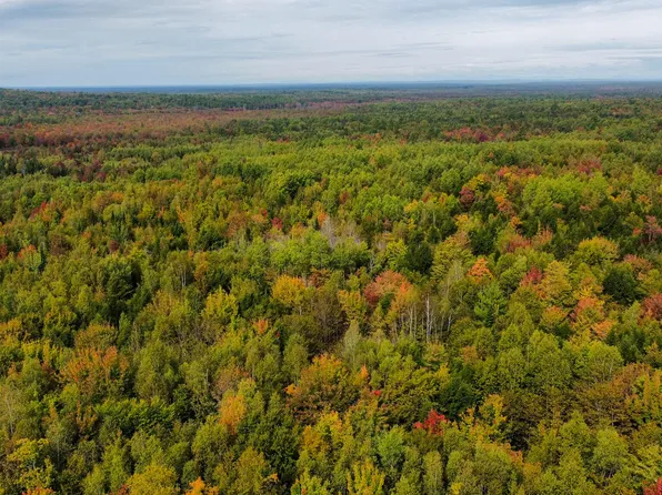 Lot 26 Wolf Run Trail, Greenbush, ME 04418