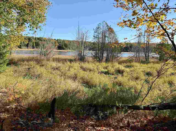 35395 Rybaskis Rd, Beaver Island, MI 49782
