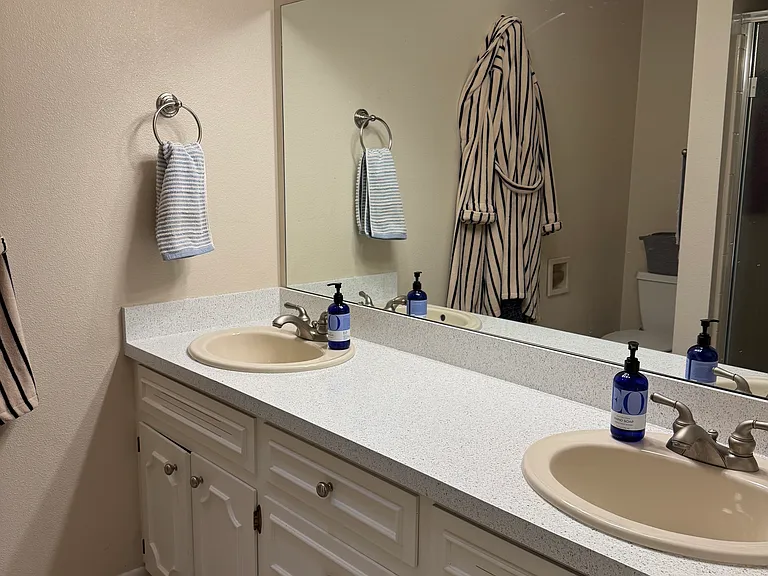 Master bathroom
