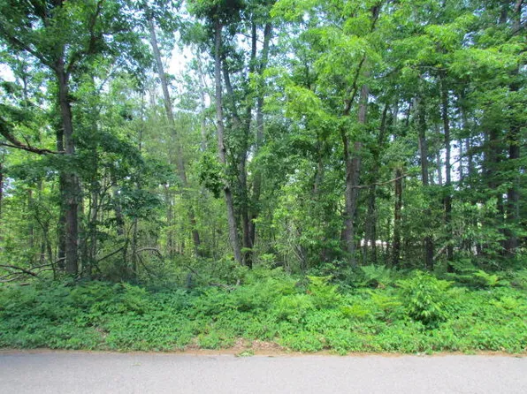 Lots 4 6 Marion St, Lewiston, MI 49756