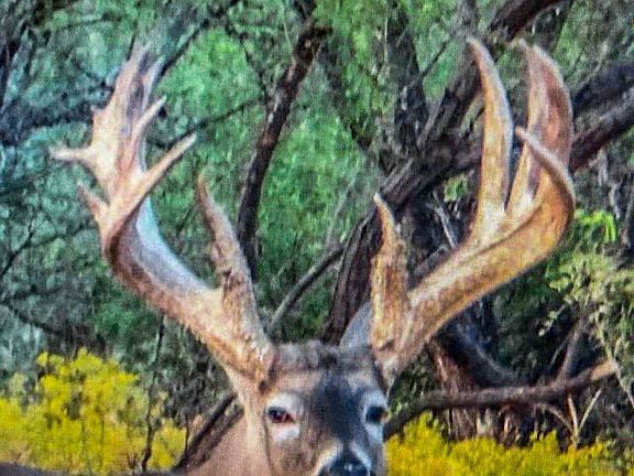 2nd image of 2884 Highway 283 S Lot Wp001