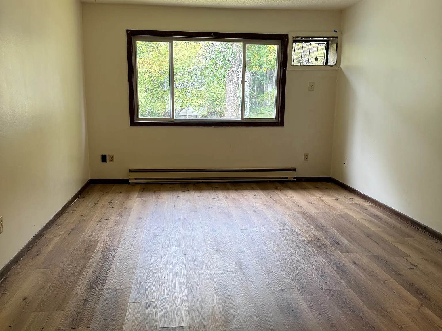 1 bed, $900 — Photo 4