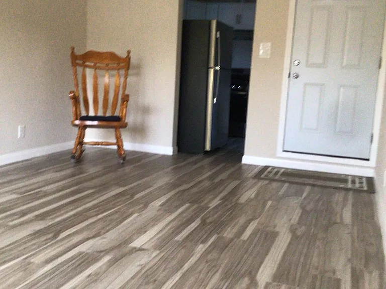 Living/ dining area