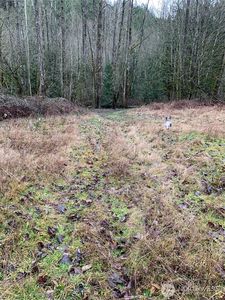 3838 E Hoff, Everson, WA, 98247