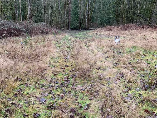 3838 E Hoff, Everson, WA 98247