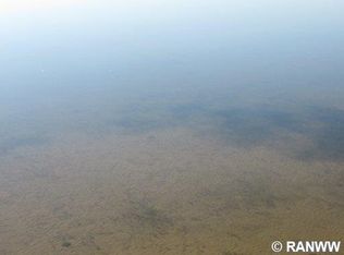 4843 Sand Lake Rd, Webster, WI 54893