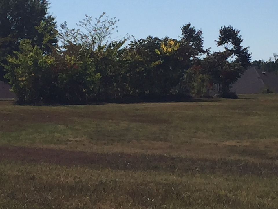 1st image of 104 Mustang Dr