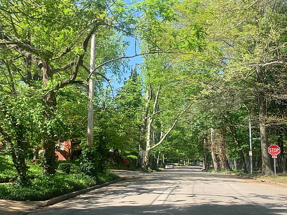 4th image of 2131-2133 Alfred Ave