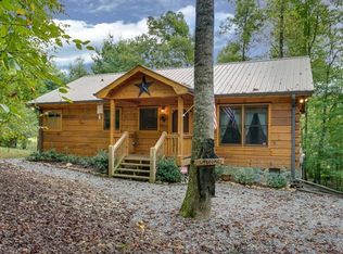 10 Nicholas Way S, ELLIJAY, GA 30540