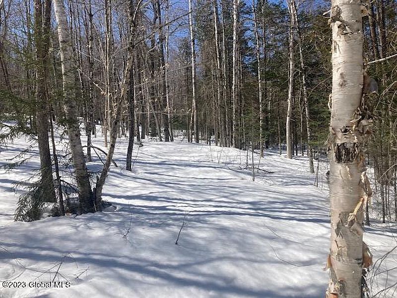 4th image of L12.000 Northwoods Club Road