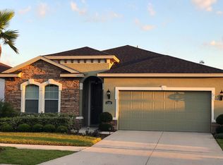 11221 Spring Point Cir, Riverview, FL 33579