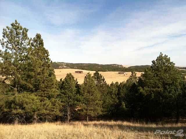 BLACKHILLS106918[1]