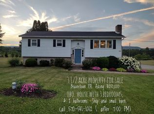 6700 Middle Rd, Beavertown, PA 17813