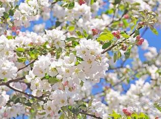 6465 Meadow Hill Dr, Reno, NV 89519