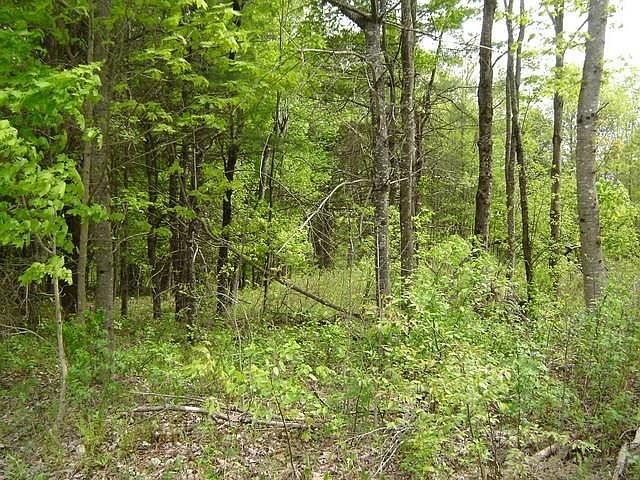 1st image of Lot 4 Cathedral Pines Road