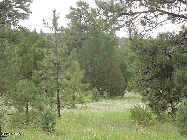 1st image of Tbd Cr 2109