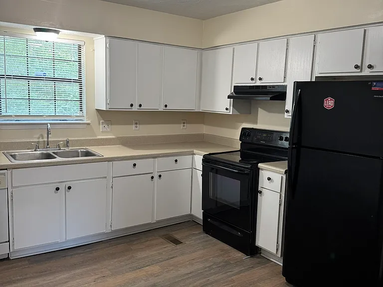 1308 Ewing Creek Dr — Photo 3