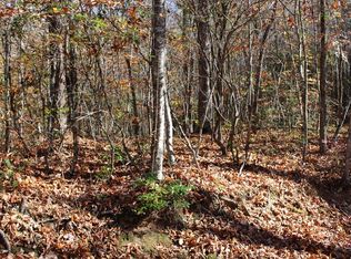 6 Carolina Spgs, Otto, NC 28763