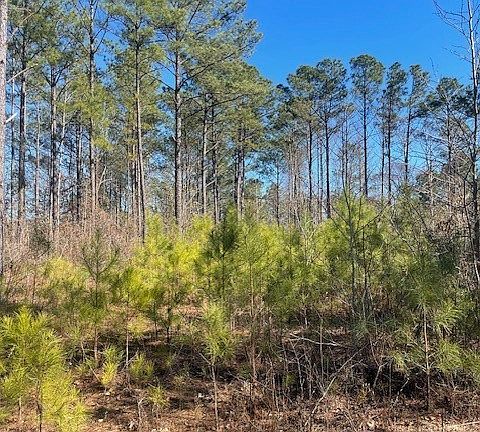 5th image of 0 Bethabara Rd