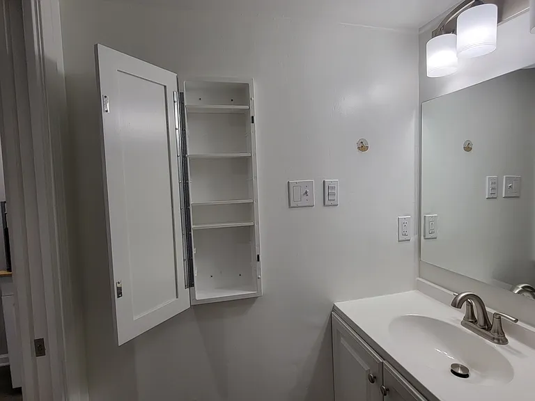 Large medicine cabinet with moveable shelves