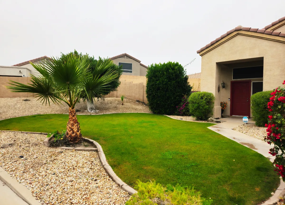 Landscaped front yard with lush grass and mature palm tree - 856 W Rockrose Way