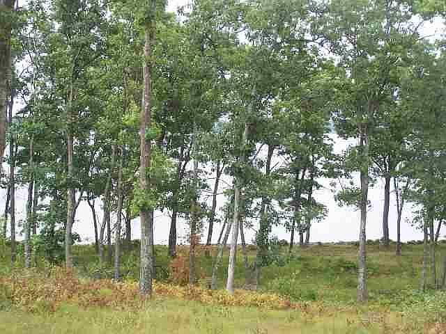 2nd image of L20 N Shore Dr