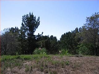 3rd image of 147 Zanzibar Dr