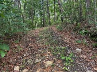 Paramount Pl, Ellijay, GA 30536