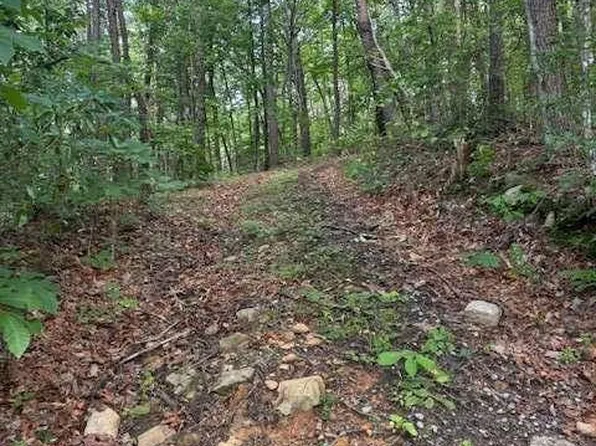 Paramount Pl, Ellijay, GA 30536