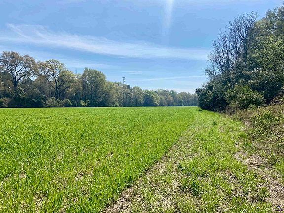 3rd image of Moseley Rd