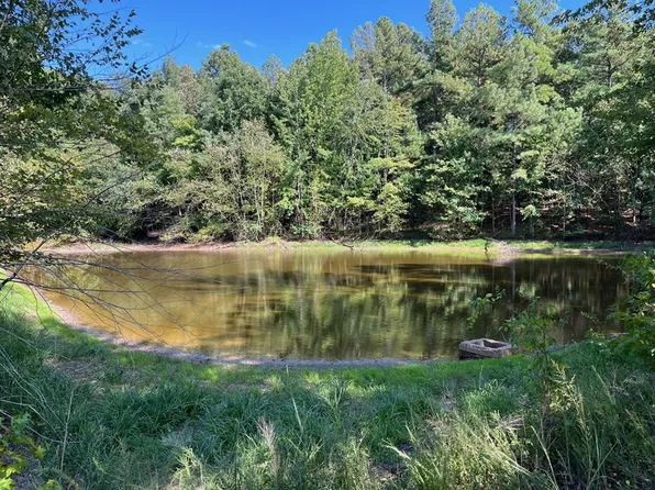 0 Highway 190, Palmersville, TN 38241