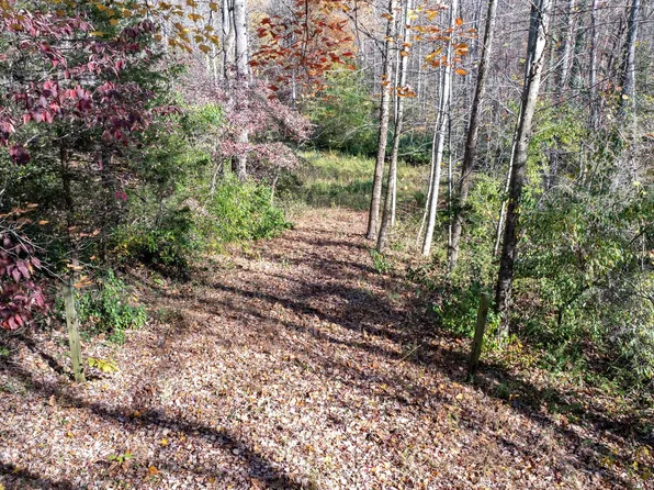 Pine Torch Ln #78A, Madison, VA 22727