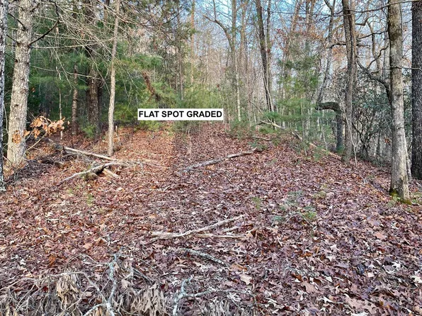12 Ludlum Ln, Hayesville, NC 28904