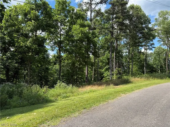 0 Fisher Ridge Rd #1, Fleming, OH 45729