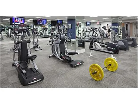 Rented by Douglas Elliman | media 9