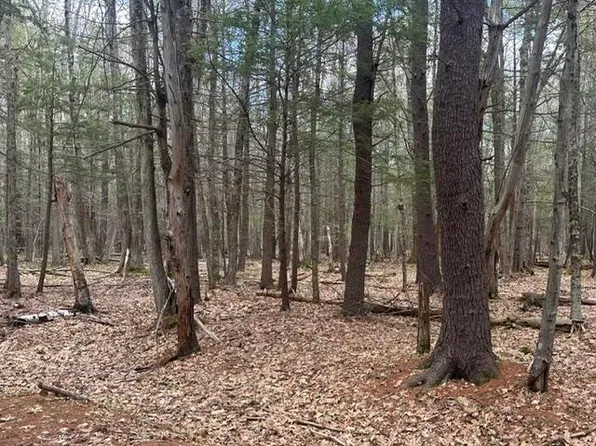 0 Tug Mountain Road, Orange, NH 03741
