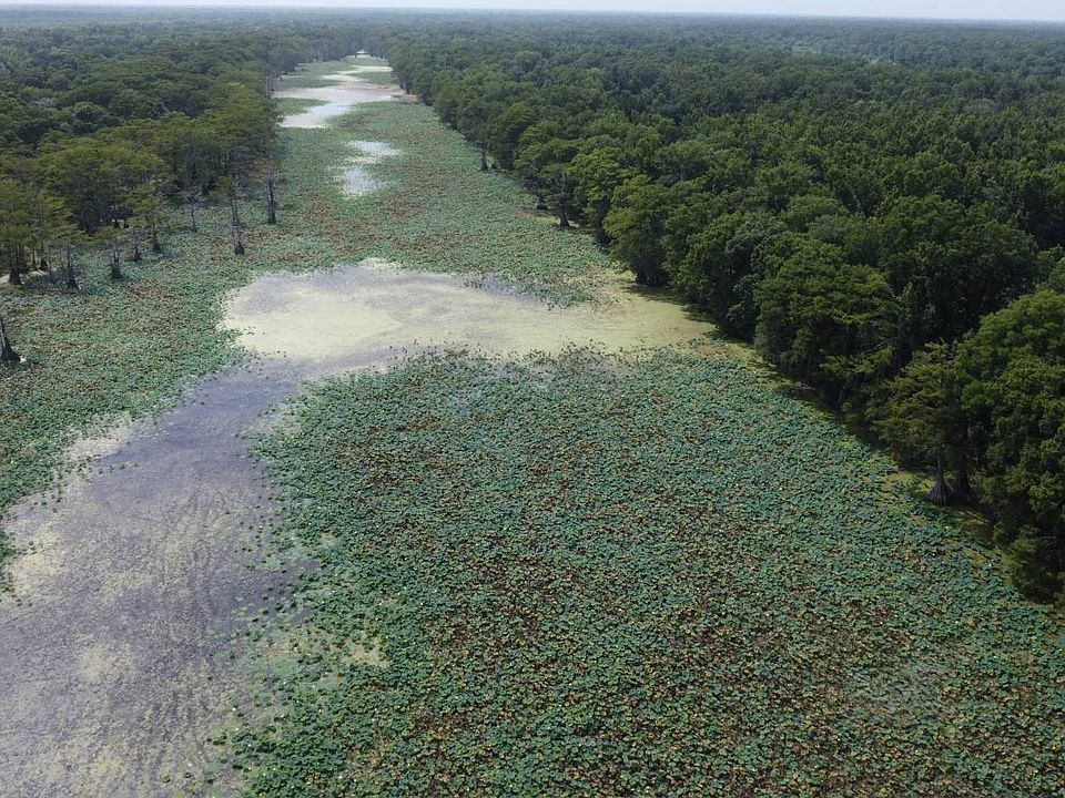 1st image of 0 Davis Rd