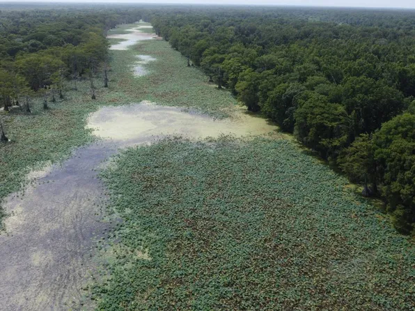 0 Davis Rd, Vicksburg, MS 39183