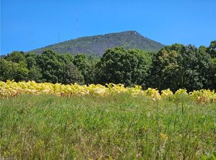 0 Old Mill Rd LOT 10B, Pinnacle, NC 27043