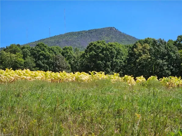 0 Old Mill Rd Lot 10B, Pinnacle, NC 27043
