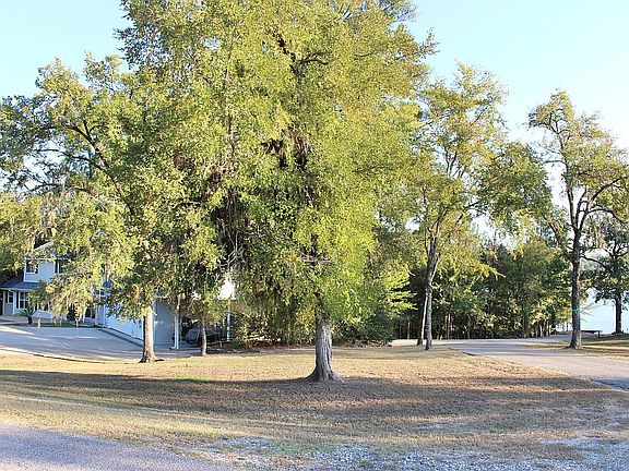 Mature Trees on .87 Acres
