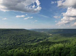 309 Black Berry Rd, Beersheba Springs, TN 37305