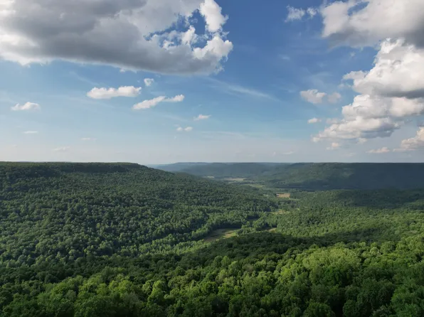 309 Black Berry Rd, Beersheba Springs, TN 37305