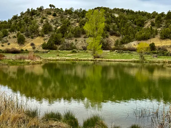 7149/7198 County Road 213, Durango, CO 81303